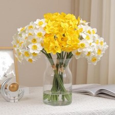 Mazzo di fiori di narciso