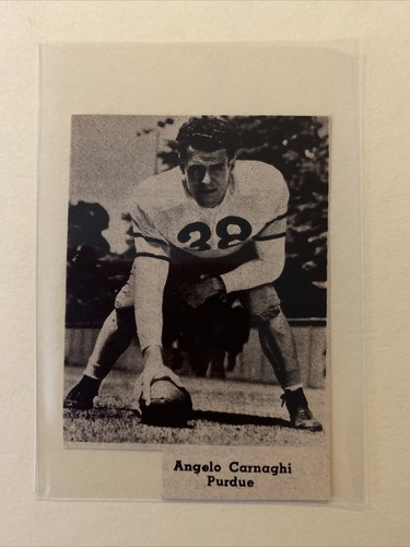 Angelo carnaghi purdue caldaie - angelo,
