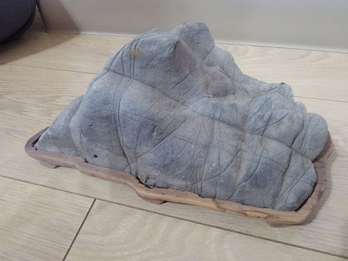 Suiseki pietra giapponese - suiseki,