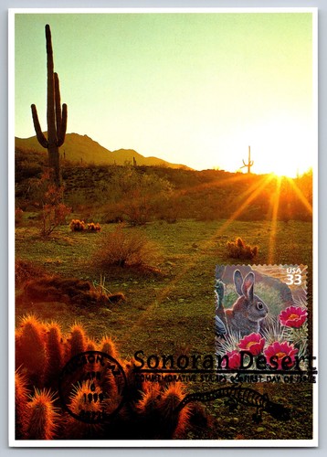 3293g sonoran dessert - #3293g,