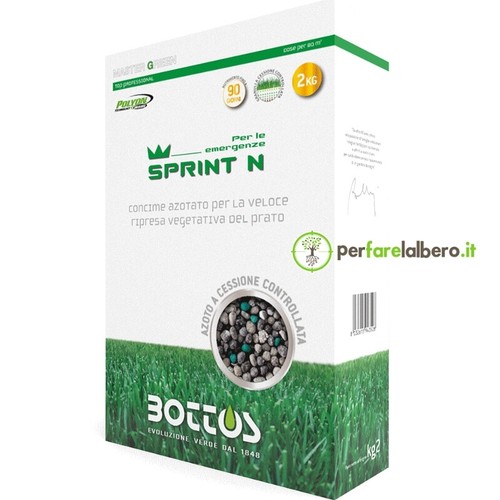 Bottos master green - bottos, sprint