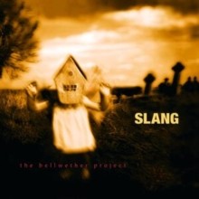 Slang bellwether project - slang,