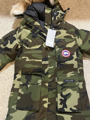 Canada goose expedition - goose,