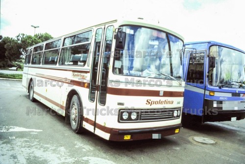 Foto camion fiat 343 italia - foto,