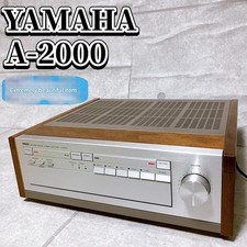 Amplificatore integrato DDP