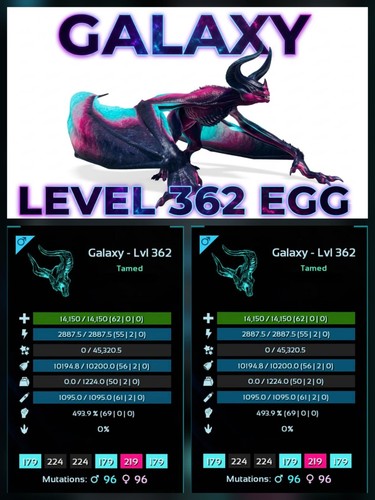 Gigadesmodus lvl362 coppia - gigadesmodus,
