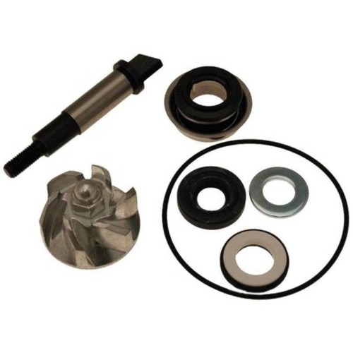 Kit revisione pompa acqua - pompa,