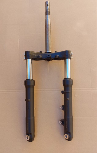 Forcella completa honda - forcella,