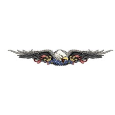 Adesivo Aquila USA XL 89 x 14