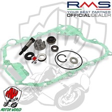 Kit revisione honda 300 - sh,