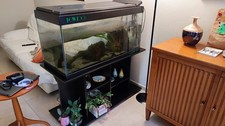 acquario completo usato