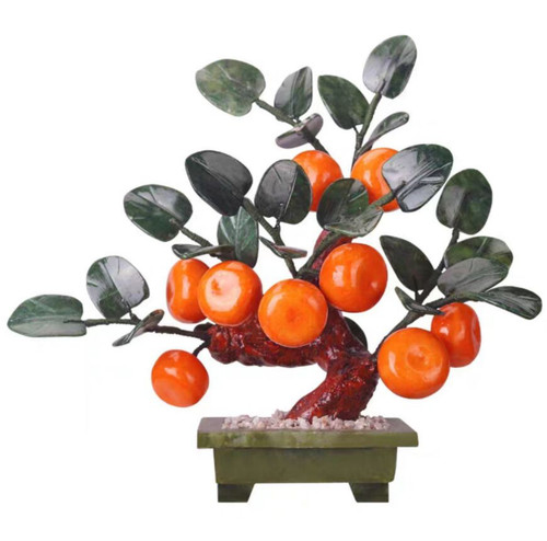 Bonsai giada feng - bonsai,