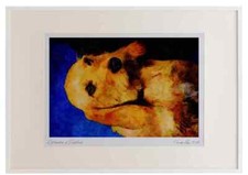 771051 Basset Fauve De