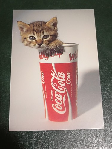 Cartolina coca cola gattino - coca-cola,