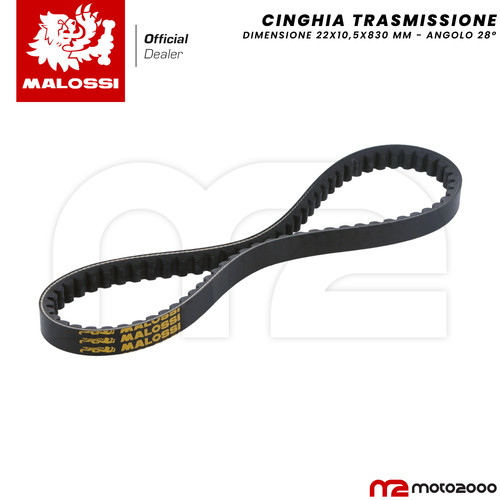 Cinghia trasmissione belt - x, k