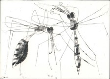 Cartolina arte moderna Reidar