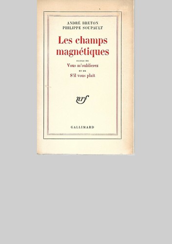 Les champs magnetiques - champs,