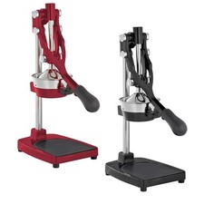 Spremiagrumi professionale