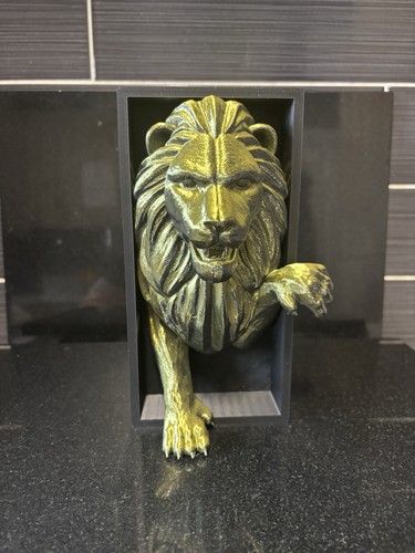 Libro leone nook tema - libro,