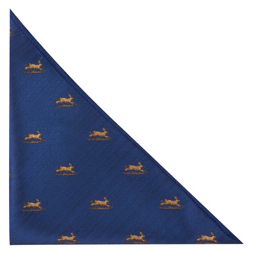 Lepre salto blu navy spina - lepre,