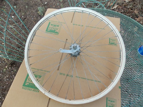 Cerchio posteriore vintage - posteriore,