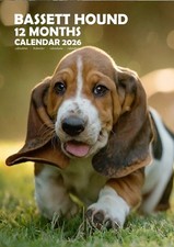 Bassett Hound 2026 Calendari