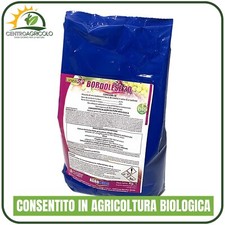 BORDOLESE POLTIGLIA 20 BIOLOGICO 1KG IN POLVERE A BASE DI RAME E BORO SOLUBILE