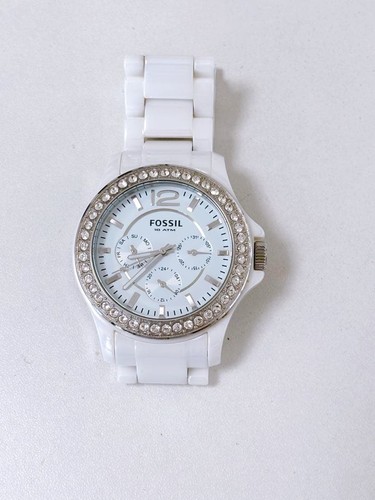 Excellent fossil white ceramic - fossil,