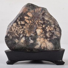 Piccola pietra giapponese