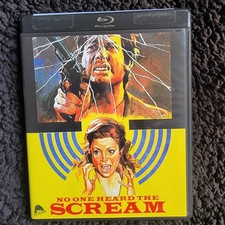 No One Heard the Scream
