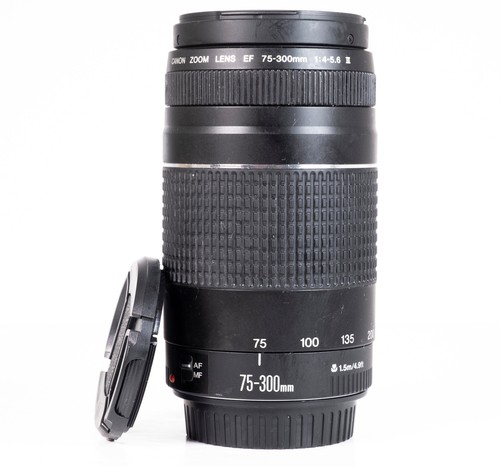 Canon 300 0 5 - 75-300, f/4.0-5.6