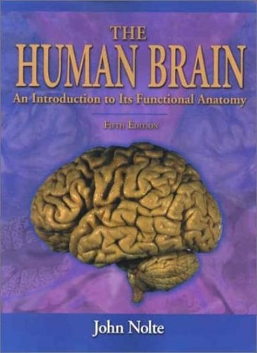 The human brain an - the,