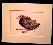 Inchiostro acquerello