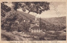 CARTOLINA *21 CASTIGLIONE DEI