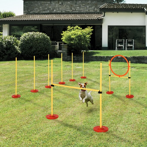Pawhut set agility per cani - agility,