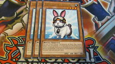 🇮🇹 YU GI OH 3 x CONIGLIO