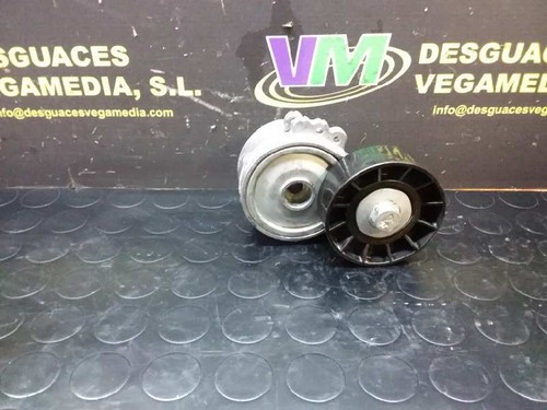 Cinghia ausiliare fiat scudo - fiat,
