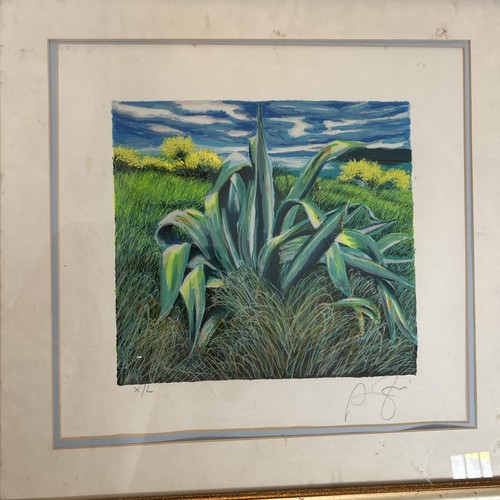 Franco azzinari serigrafia - ,