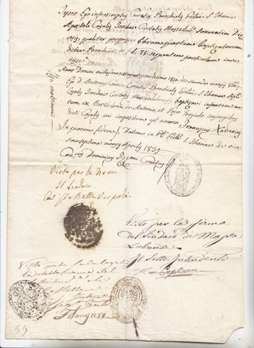 II321-CAMPANIA-MASSALUBRENSE