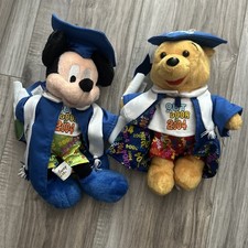 Disney Parks Winnie the Pooh E