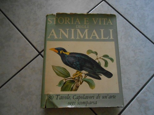 Libro cofanetto storie vita - cofanetto-storie,