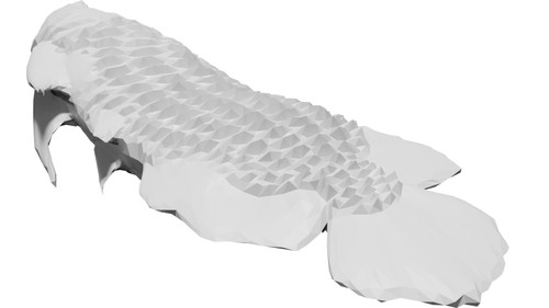 Modello pesce drago arowana - modello, 3d