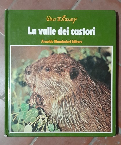 Libro per bambini vintage - libro,