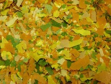 Fiocchi misti, mangime per