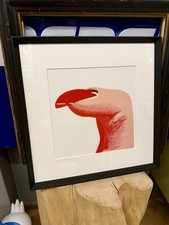 Armando Testa “ismi” Marabù dell’alto Kenia, 1977