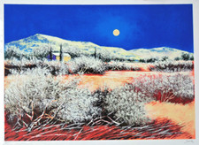 Mario soave serigrafia - mario, soave,