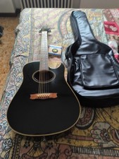 Chitarra elettro Acustica