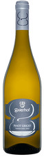 Pinot Grigio Trentino DOC