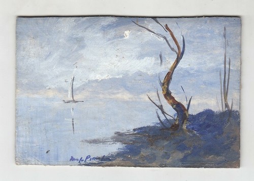 Quadro olio pianzola - quadro,