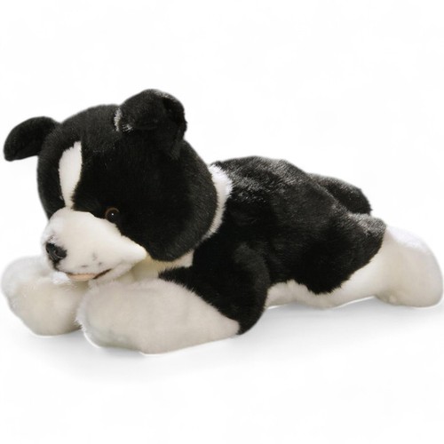 Carl dick border collie - carl,